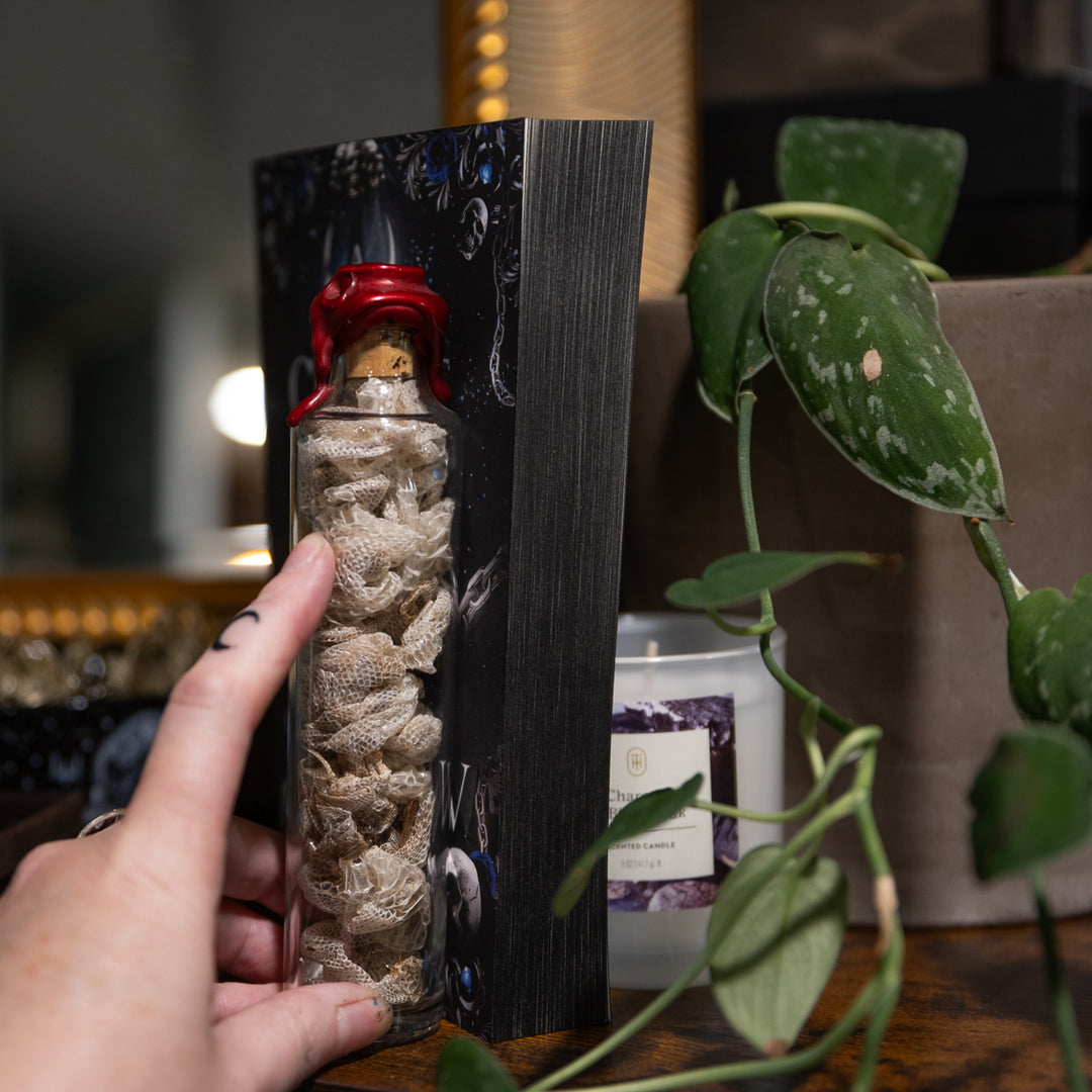 A Court of Bones and Sorrow Signed Paperback Why Choose Romantasy by Alex Frost