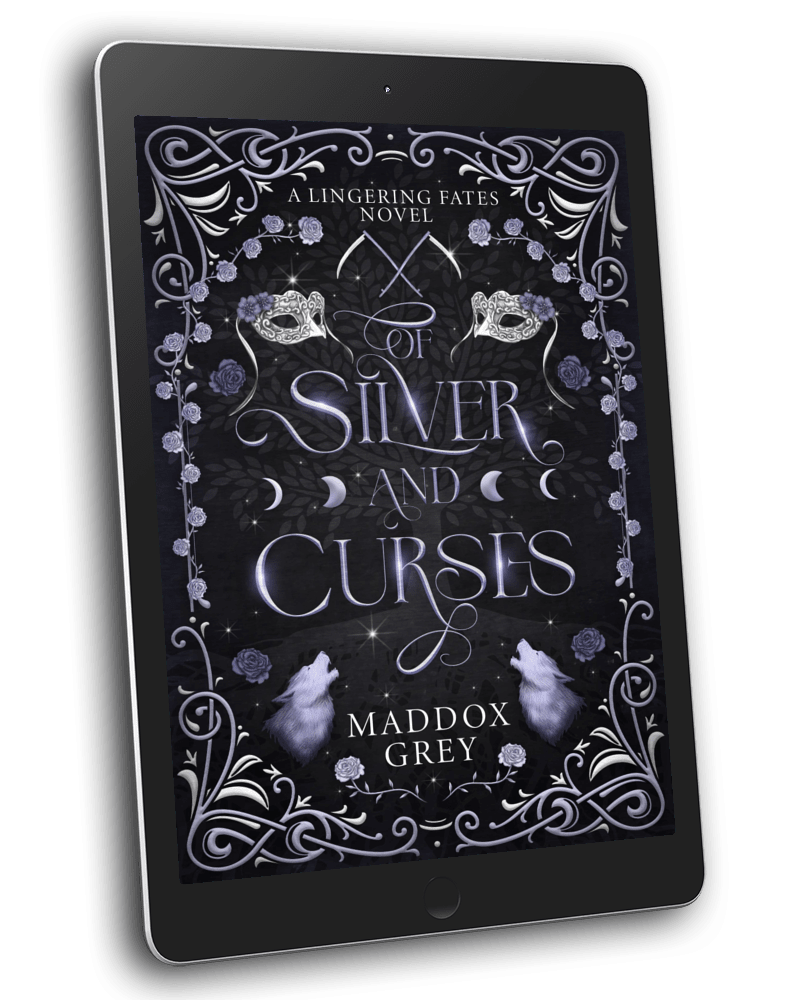 Queer Standalone Romantasy Of Silver and Curses