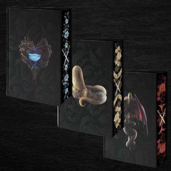 Lost Legacies Fantasy Romance Special Editions