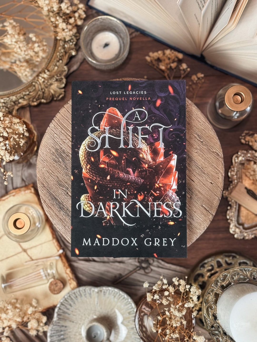 A Shift in Darkness [PAPERBACK] - Greymalkin Press
