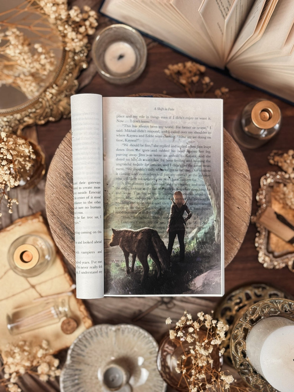 A Shift in Fate [PAPERBACK] - Greymalkin Press