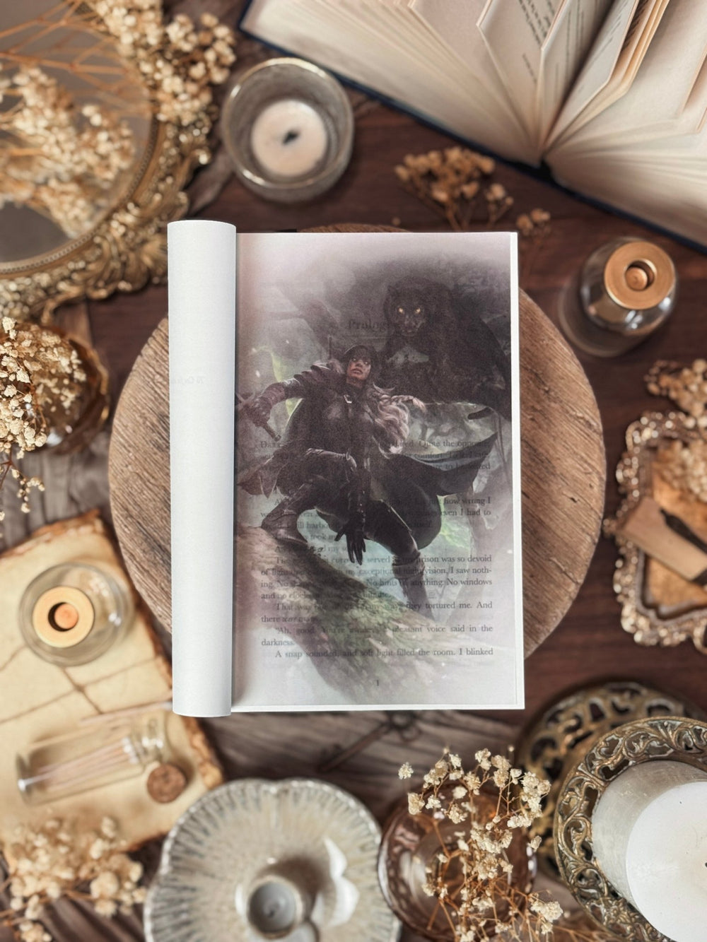 A Shift in Shadows [PAPERBACK] - Greymalkin Press
