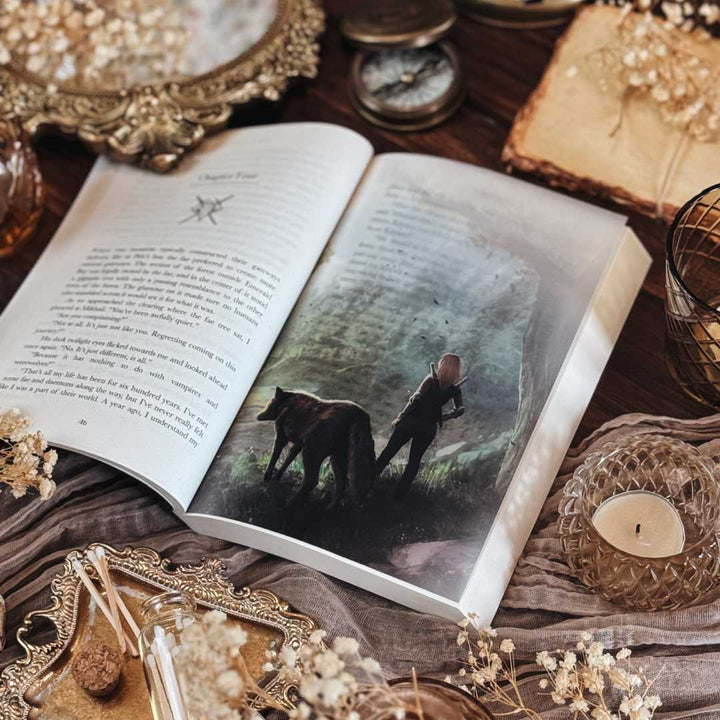 Lost Legacies Paperback Bundle - Greymalkin Press