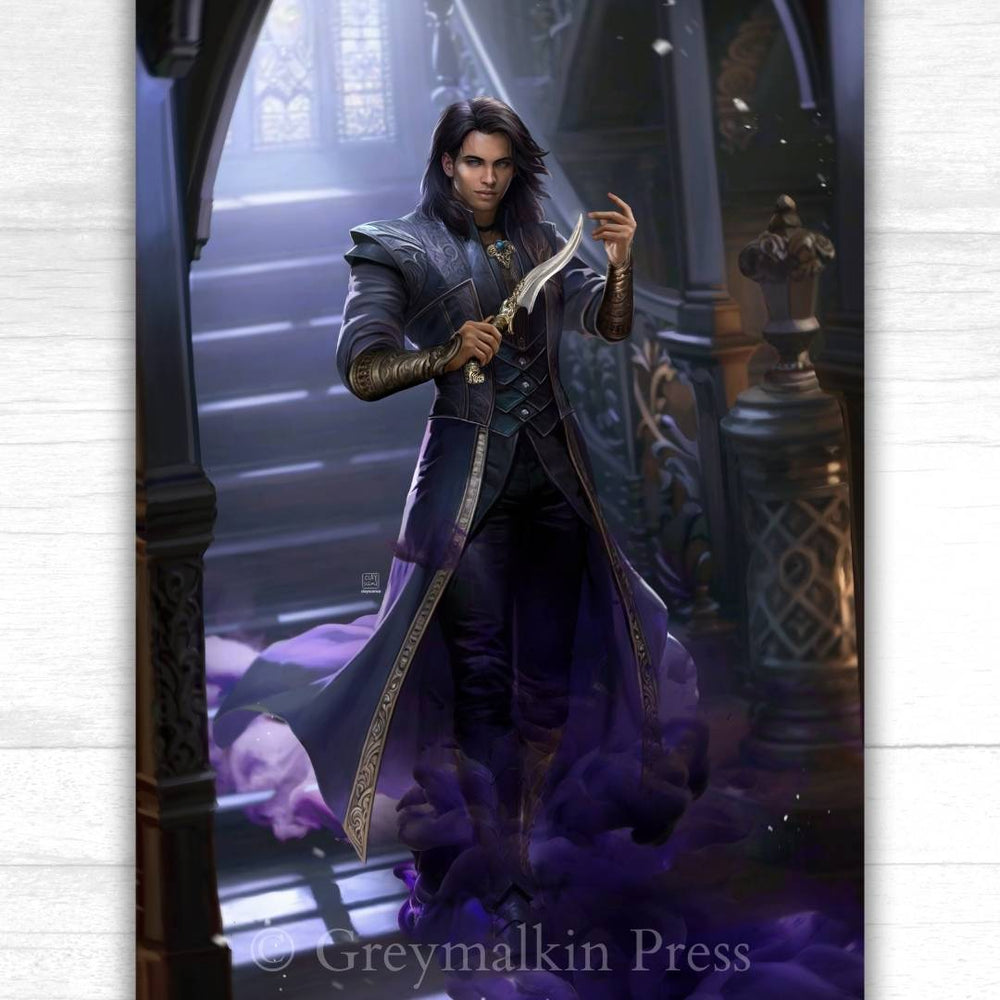 The Vampire Assassin - Greymalkin Press
