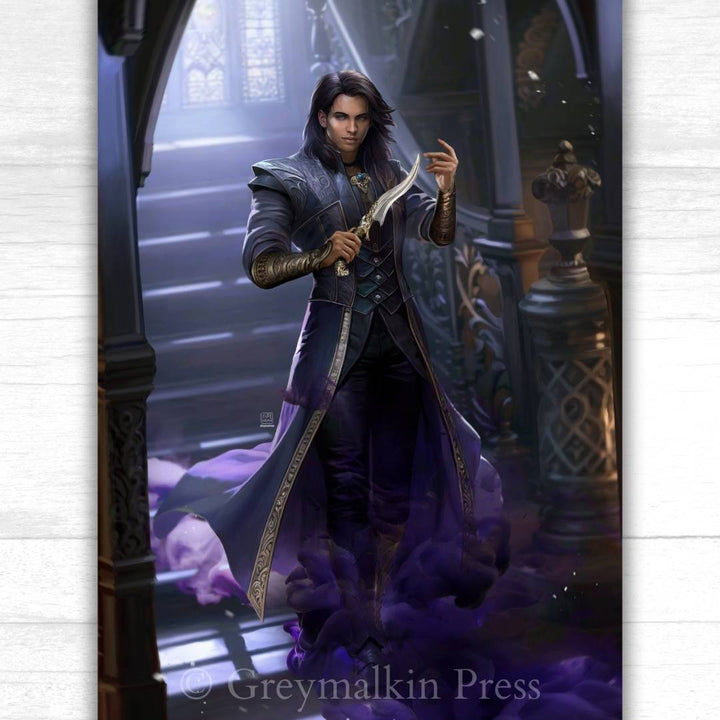 The Vampire Assassin - Greymalkin Press